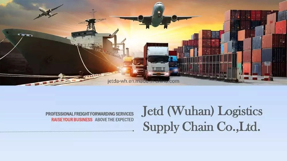 Ocean Freight / Container Shipping From Shenzhen/Guangzhou/Qingdao to Shipping From China to Greece
