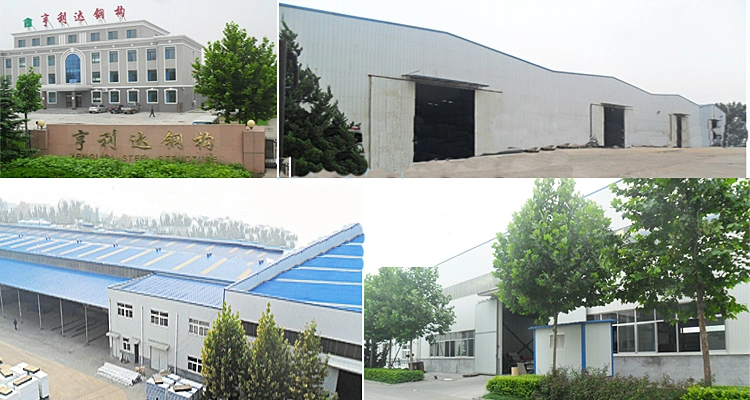 Good Quality Apartment Building 20FT 40FT Prefab Container Homes