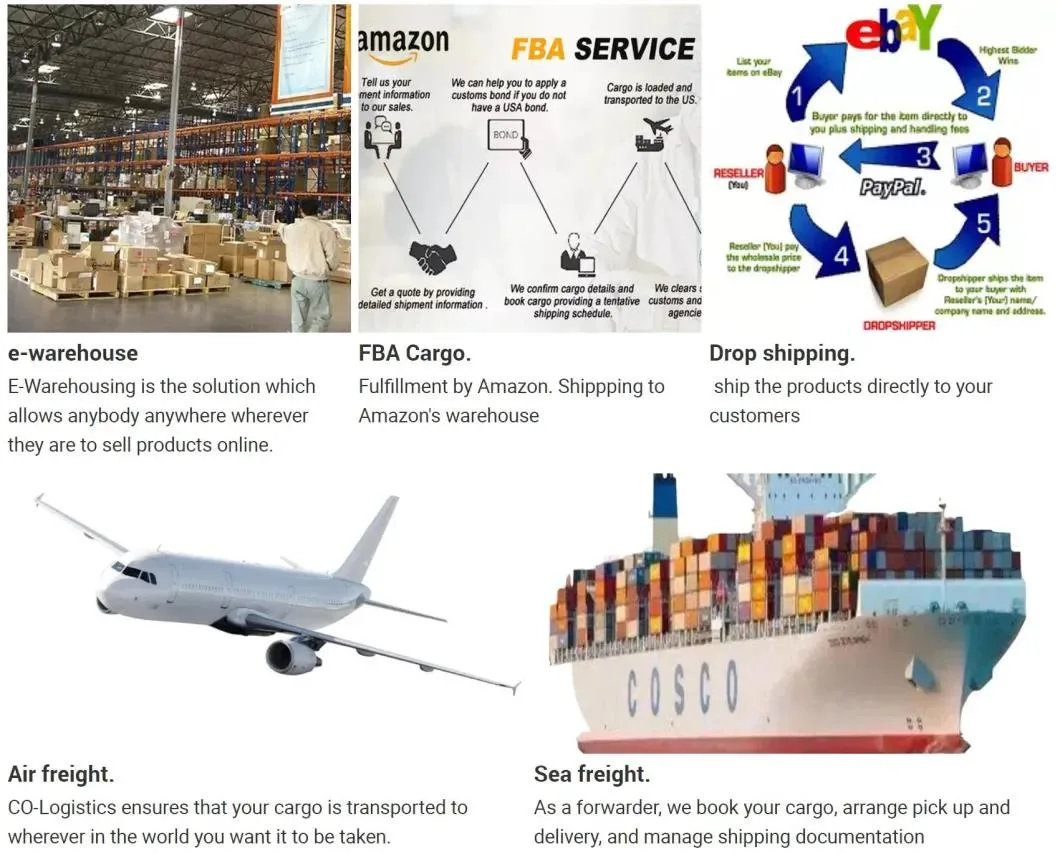 China Shipping Agent Forwarder with Competitive FCL Container Shipping Freight Rate to Oakland America by Air