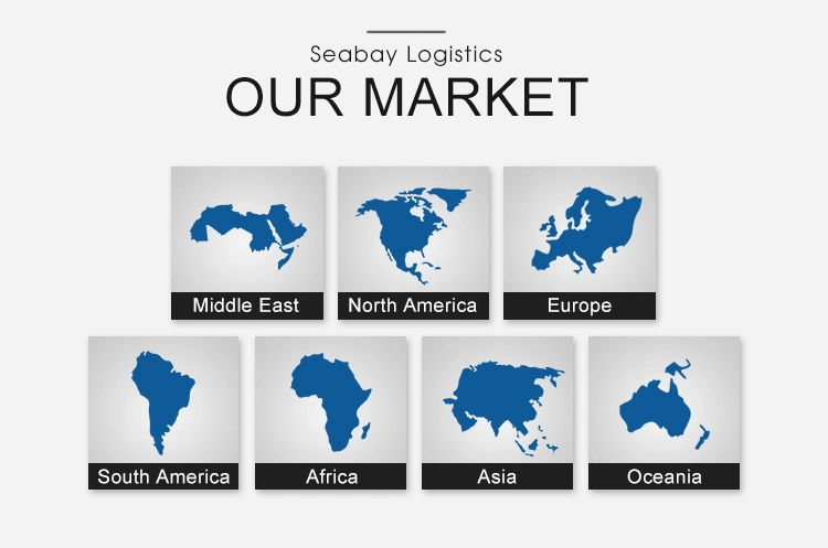 Shipping Company/Container Shipping/Shipping Charges/Cost From China to Oman, Qatar, Bahrain, Israel, Syria