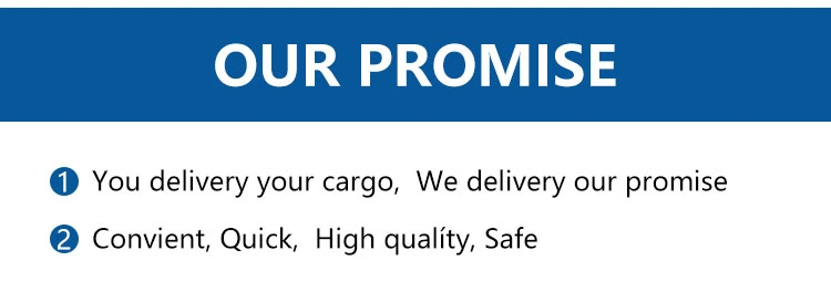 Ocean Freight Shipping Container Freight FCL LCL From Guangzhou Shenzhen Shanghai Qingdao Xiamen to South Africa