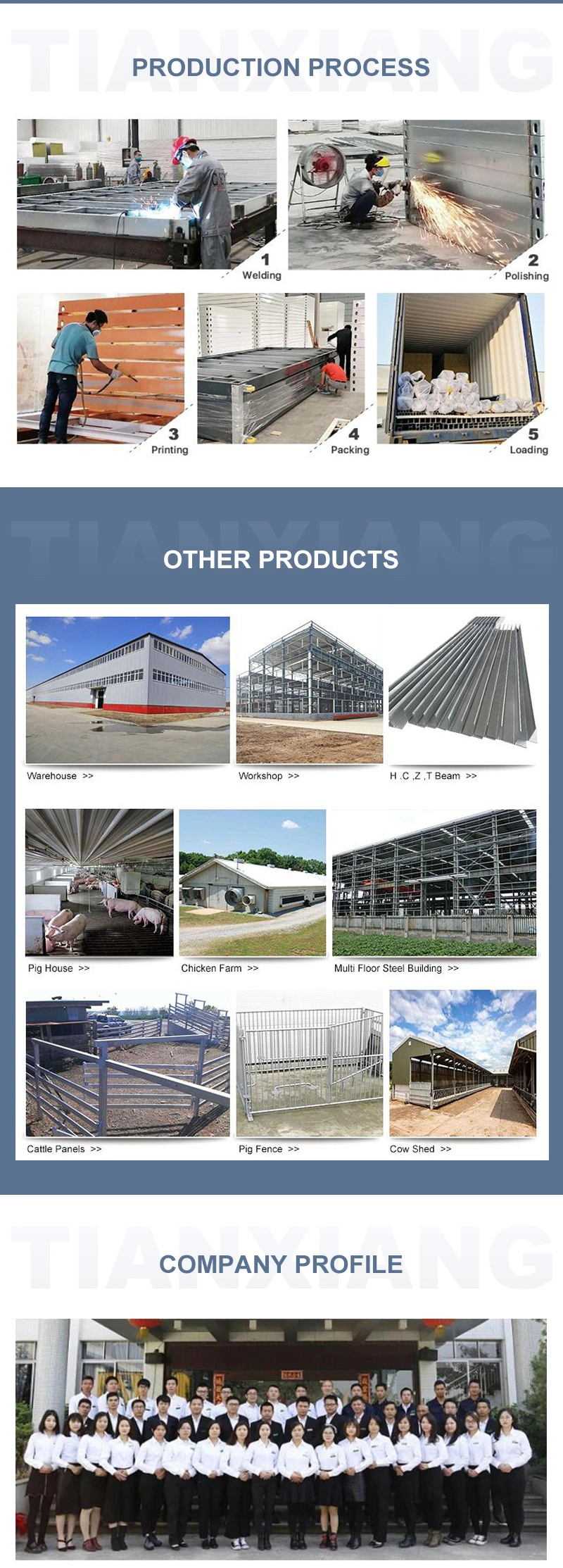 Fashion Design Luxury 20 Feet Modular Homes Prefabricated Ready Made House