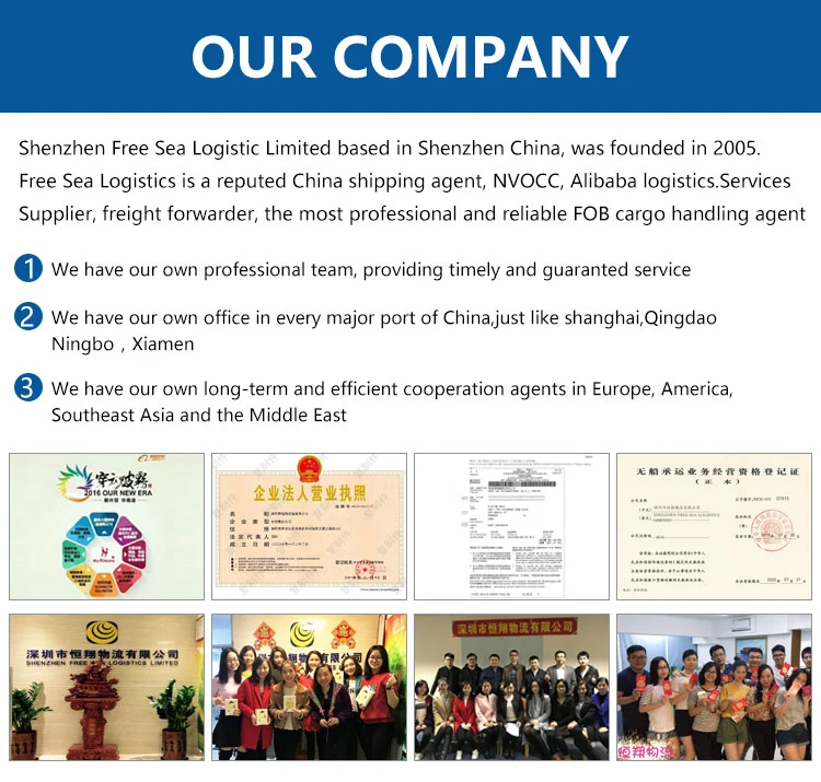 Ocean Freight Shipping Container Freight FCL LCL From Guangzhou Shenzhen Shanghai Qingdao Xiamen to South Africa